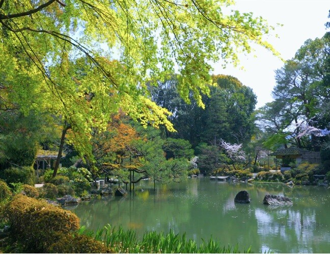 Asia japan garden