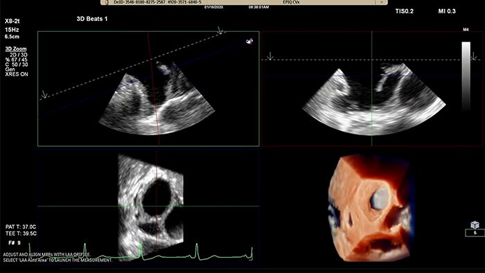 A multitude of clinical images of a scan