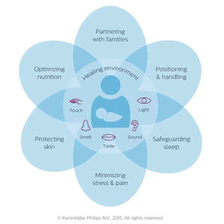 implementing developmental care