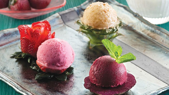 原味乳酪/鮮果冰乳酪 (智能萬用鍋)